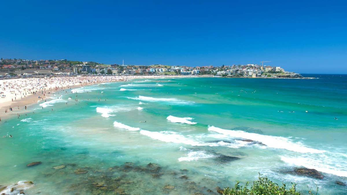 Relax on Bondi Beach and Walk the Coastal Trail